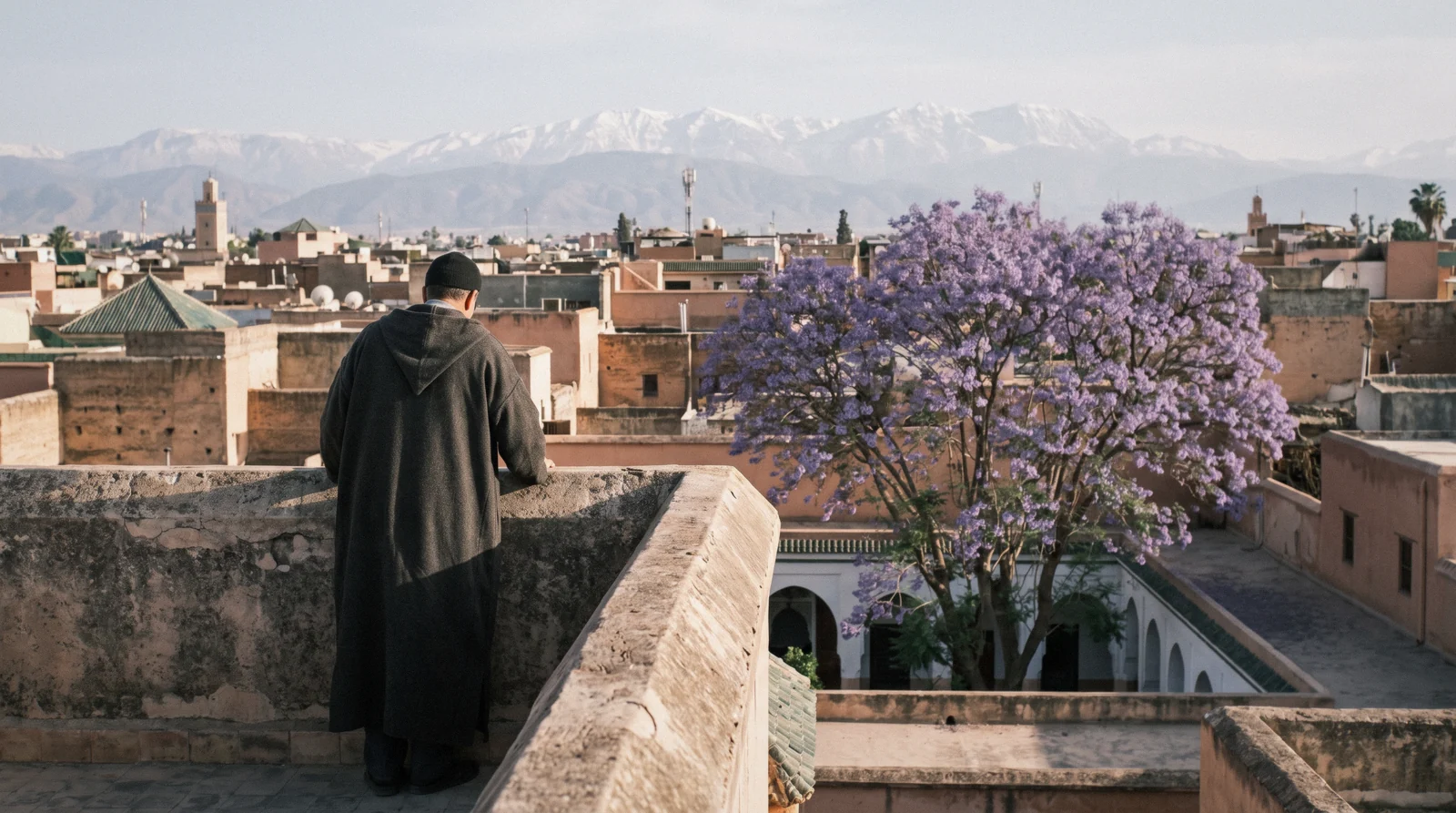 Late afternoon light on the medina rooftops with the snow line on the Atlas behind, the season that decides the best time to visit Marrakech