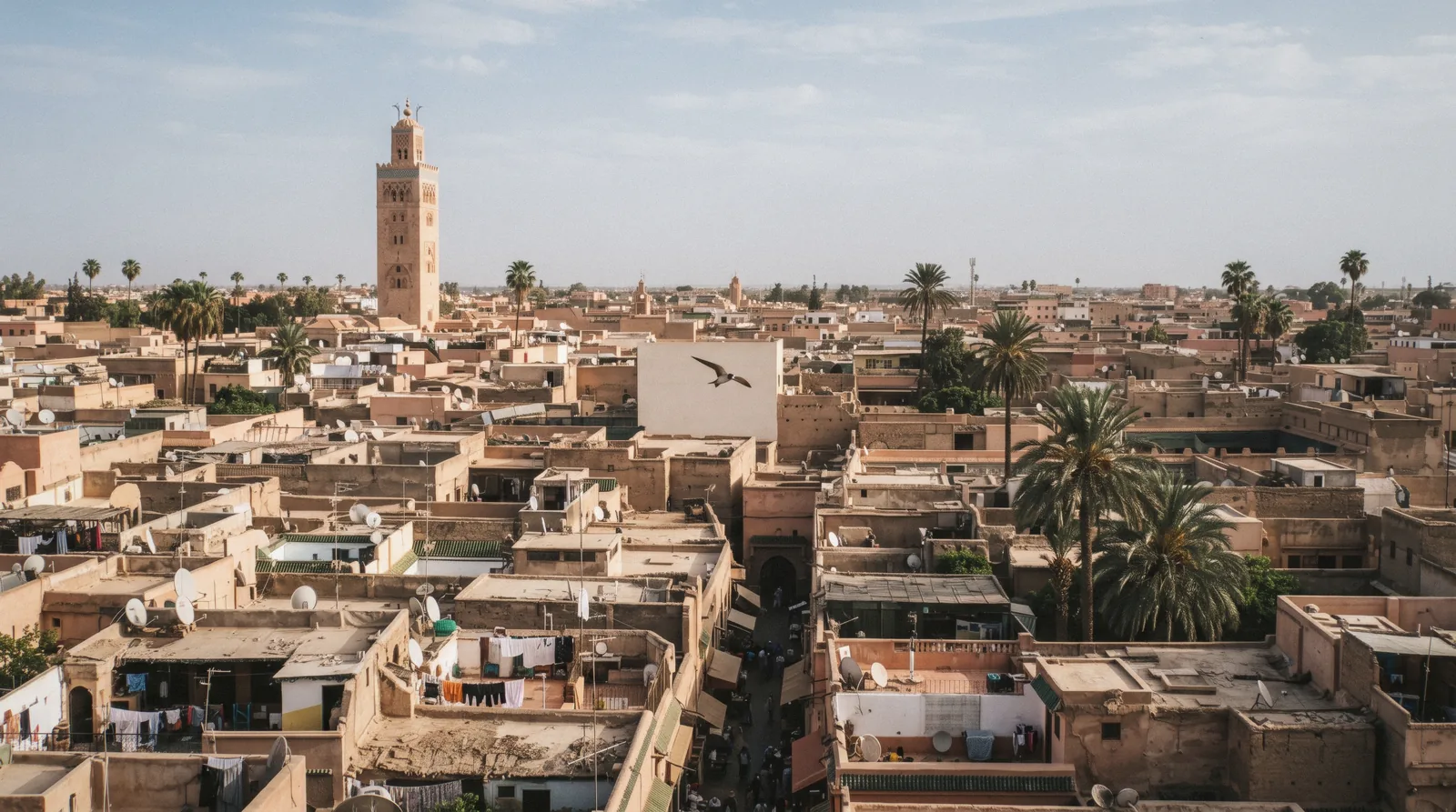 Marrakech medina rooftops in late afternoon with the Koutoubia minaret rising left of centre, the view this Marrakech map covers