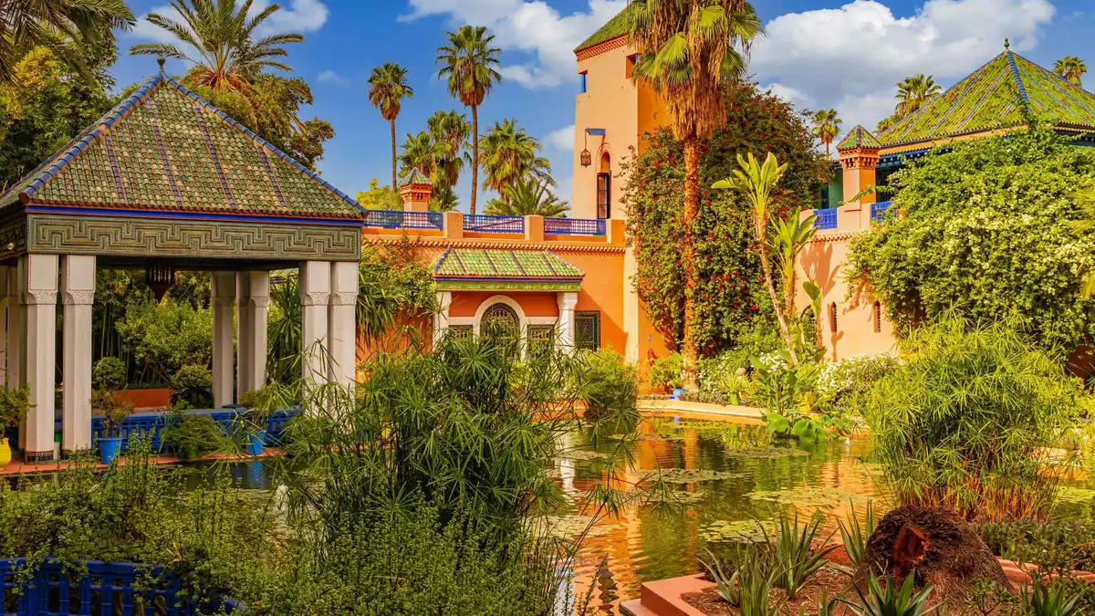 Yellow planters and cactus beds along a path in Jardin Majorelle on a Jardin Majorelle museums ticket and audio guide visit in Marrakech