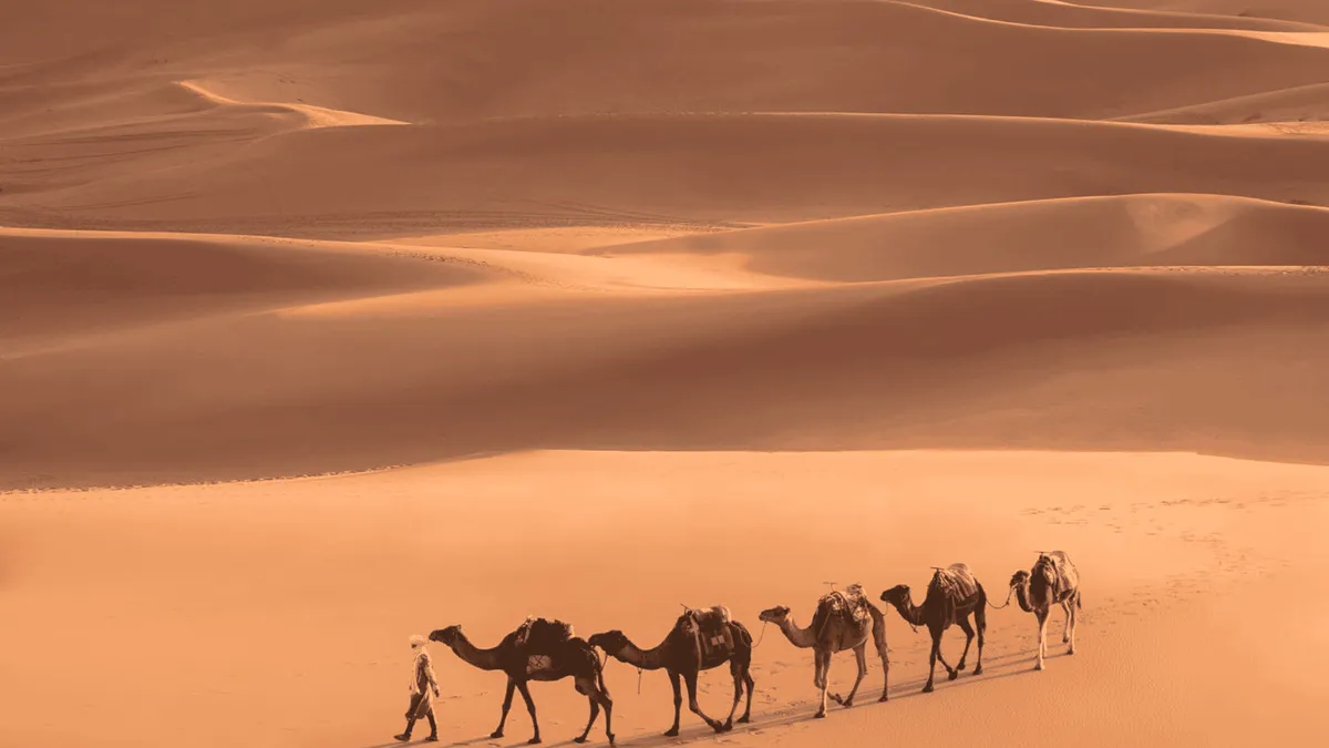 Desert camp tents ringed by dunes under a night sky on a 3-day Merzouga and Sahara desert tour from Marrakech